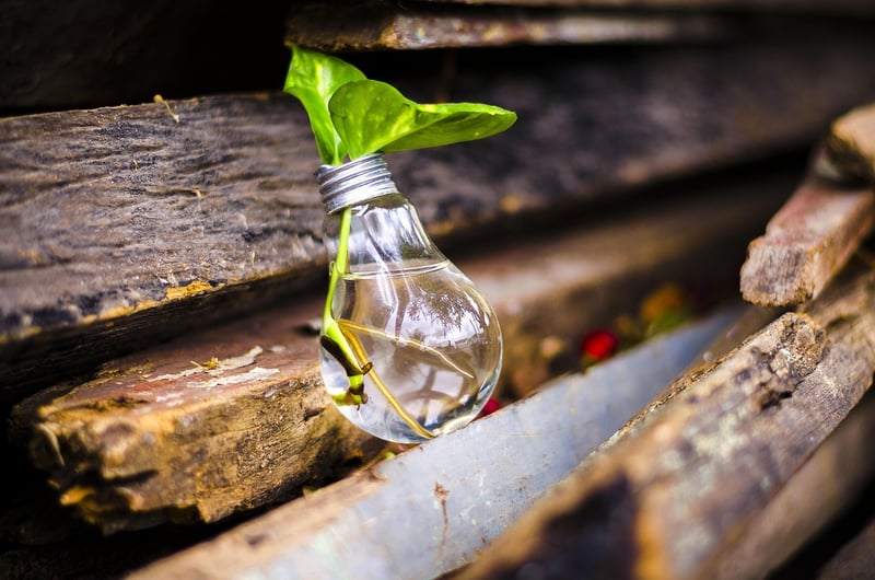 Sustainable Upcycling Tips